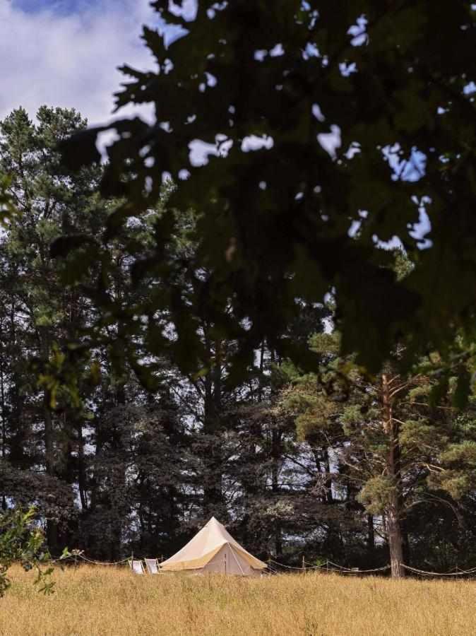 A Leira 116 Cabanas De Diseno Саррія Екстер'єр фото