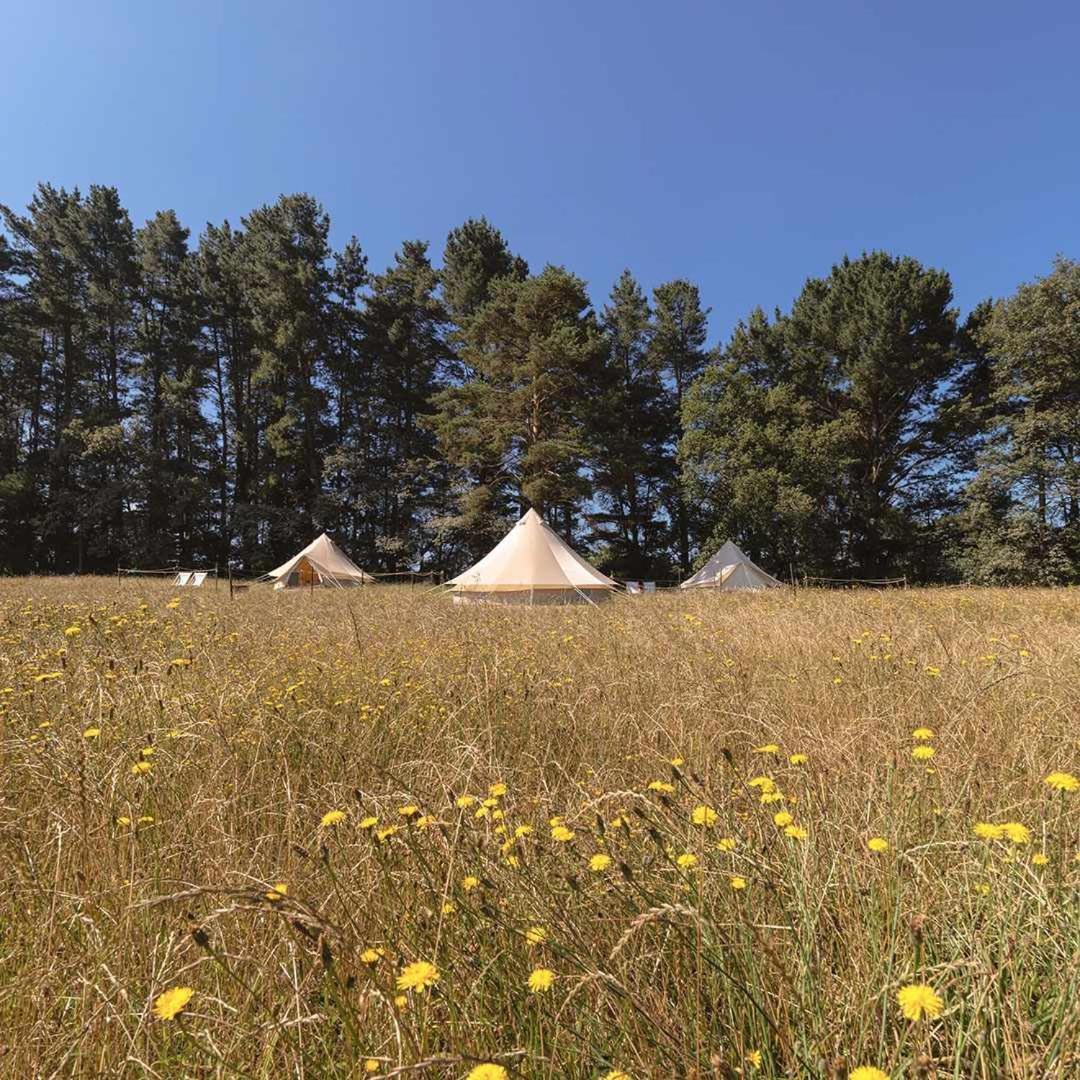 A Leira 116 Cabanas De Diseno Саррія Екстер'єр фото